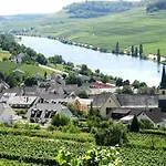 Weingut-ferienwohnung Heinz Dostert Apartament