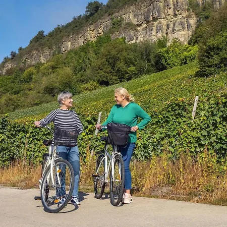 Apartment Weingut-ferienwohnung Heinz Dostert *