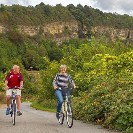 Weingut-ferienwohnung Heinz Dostert شقة نيتيل