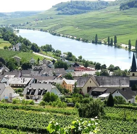 Weingut-ferienwohnung Heinz Dostert شقة