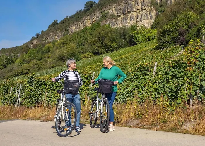 아파트 Weingut-ferienwohnung Heinz Dostert *