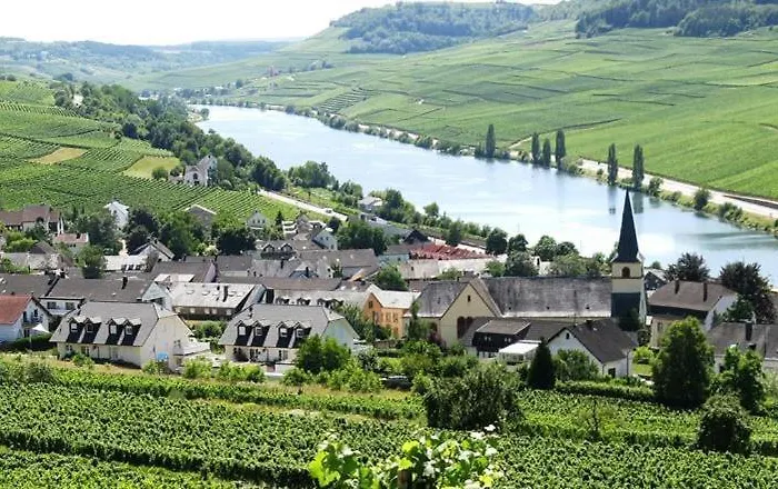 Weingut-ferienwohnung Heinz Dostert 아파트